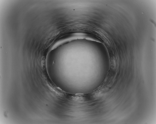 X0000091530284200708171227