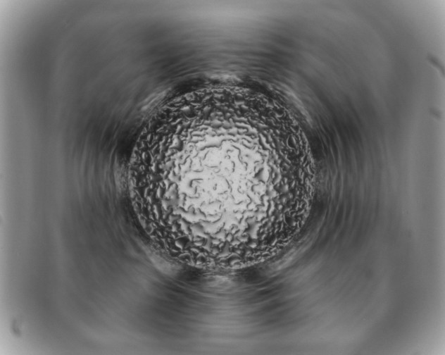 X0000091530285200708171227
