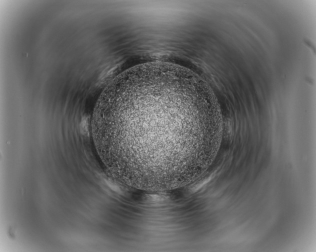 X0000091530286200708171227