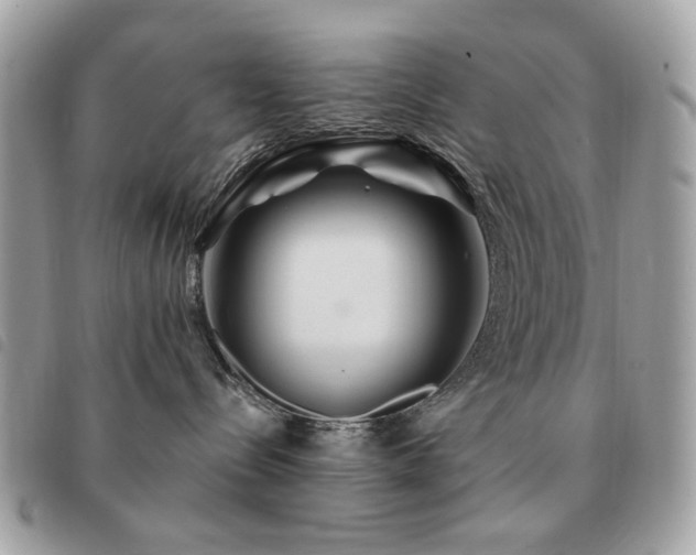 X0000091530288200708171227