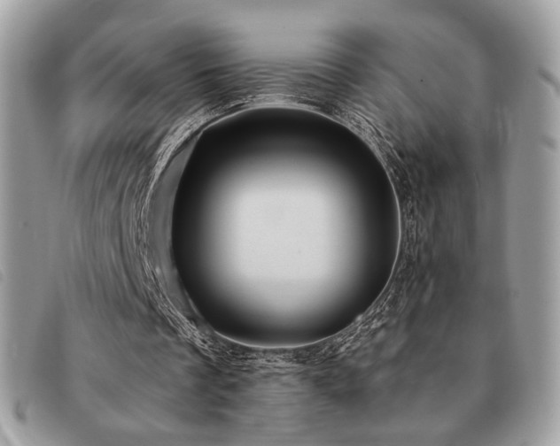 X0000091530289200708171227