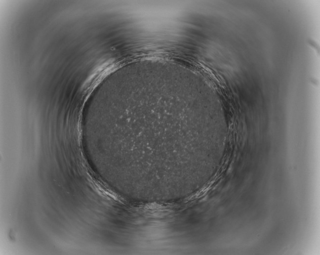 X0000091530290200708171227