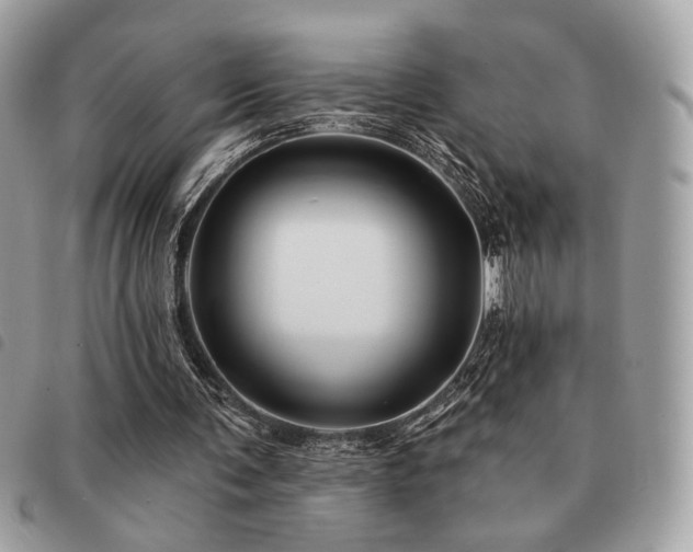 X0000091530291200708171227