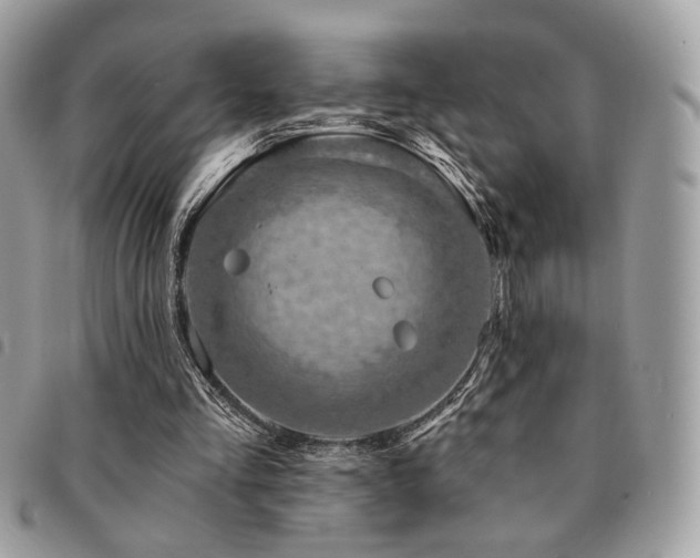 X0000091530293200708171227