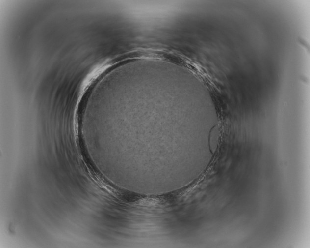 X0000091530294200708171227