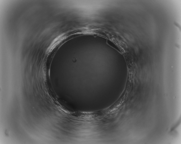 X0000091530295200708171227