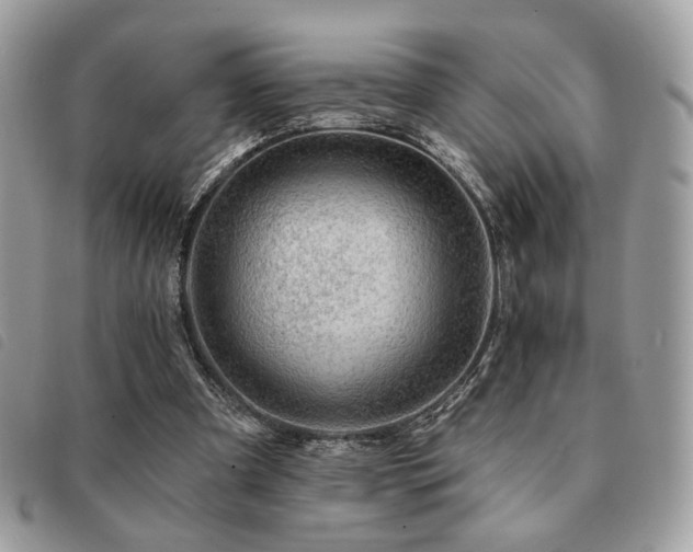 X0000091530297200708171227