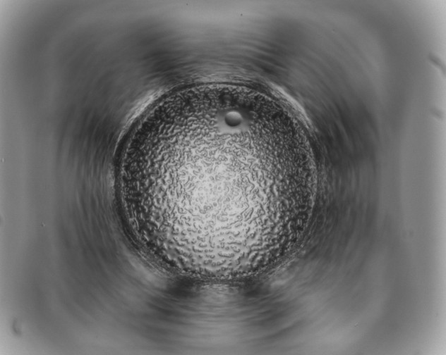 X0000091530298200708171227