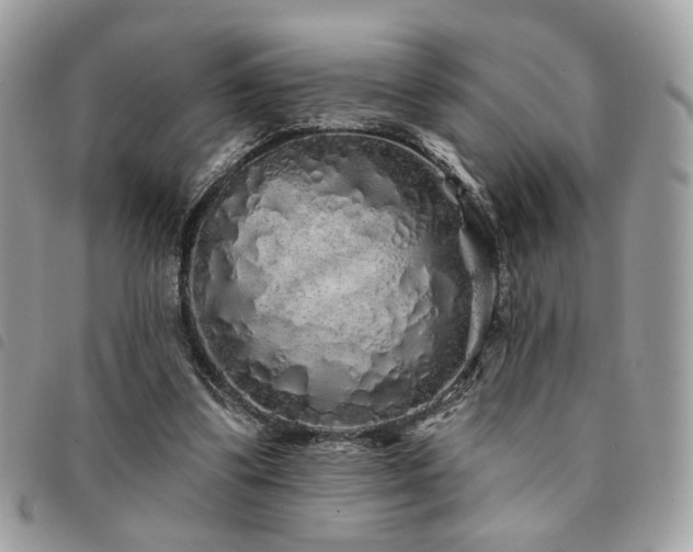 X0000091530299200708171227