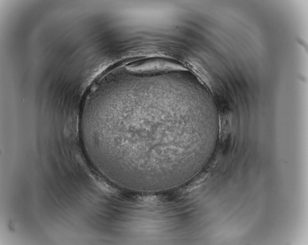 X0000091530301200708171227