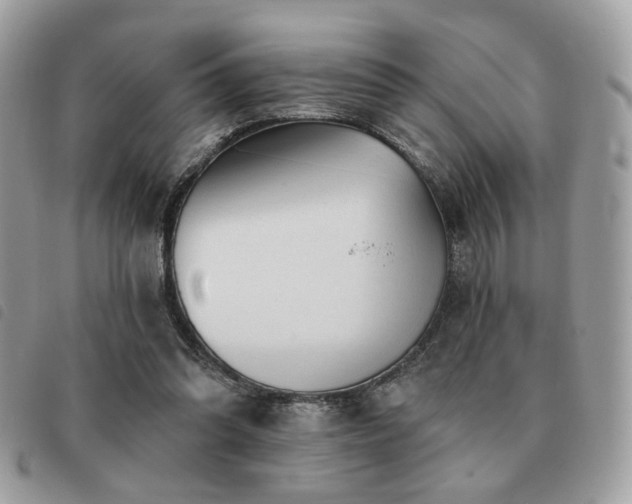 X0000091530302200708171227