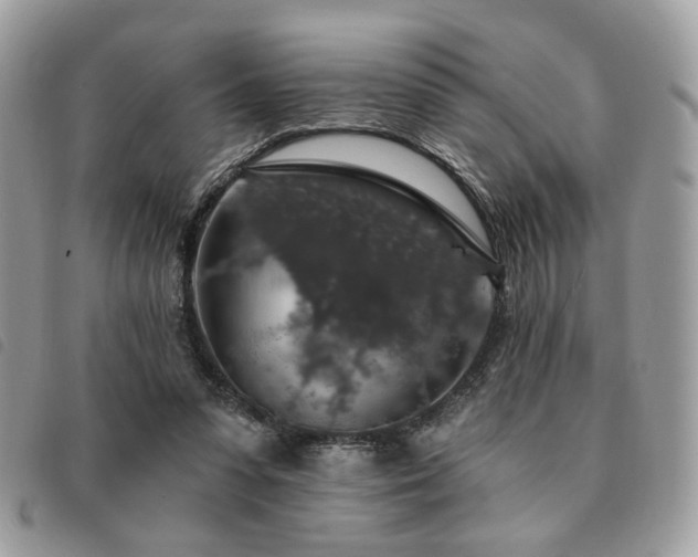 X0000091530303200708171227