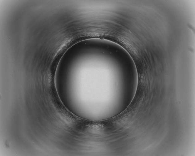 X0000091530304200708171227