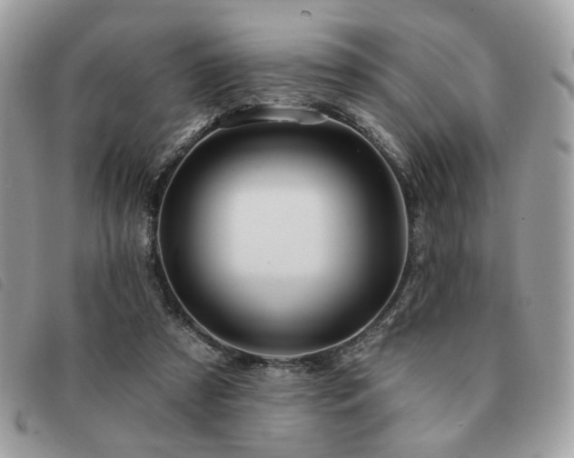 X0000091530305200708171227