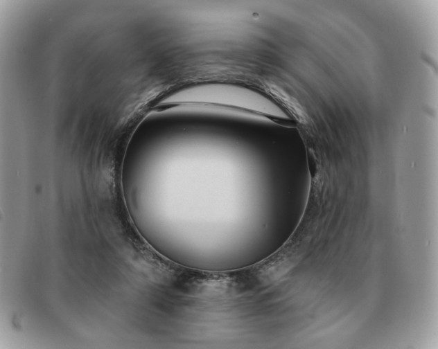 X0000091530306200708171227