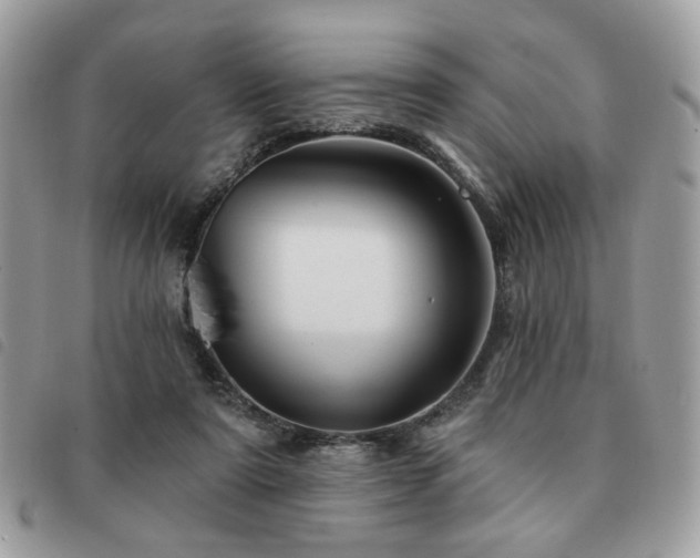 X0000091530307200708171227
