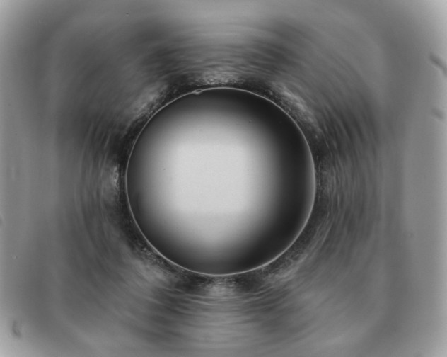 X0000091530308200708171226