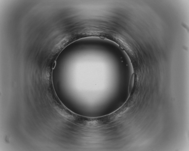 X0000091530309200708171226