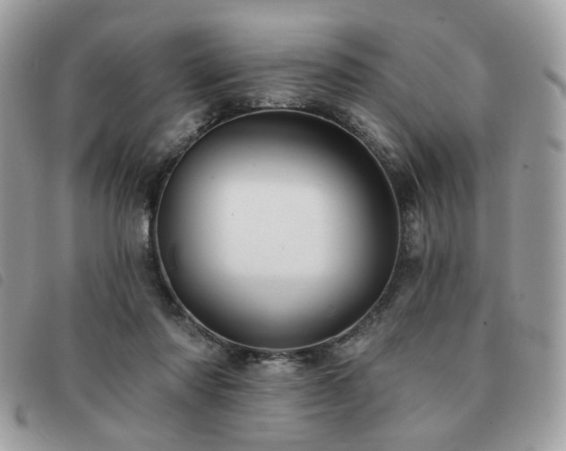 X0000091530310200708171226