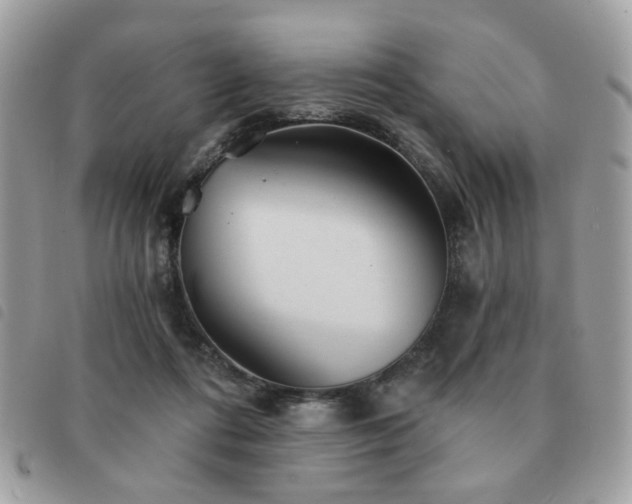 X0000091530312200708171226
