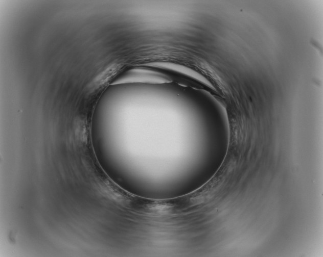 X0000091530313200708171226