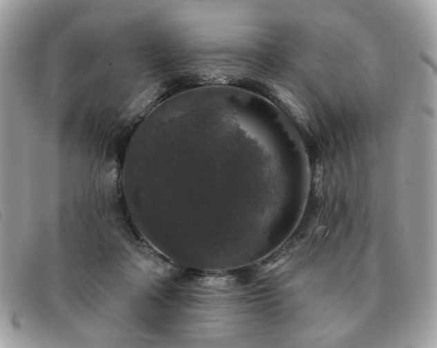 X0000091530314200708171226