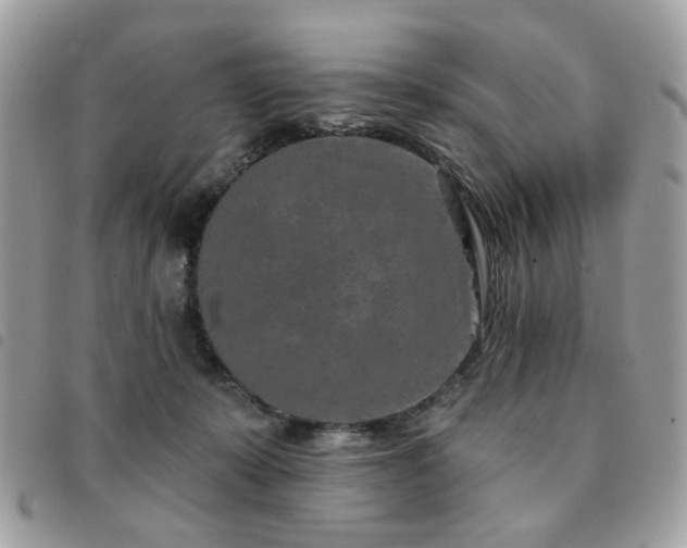 X0000091530319200708171226