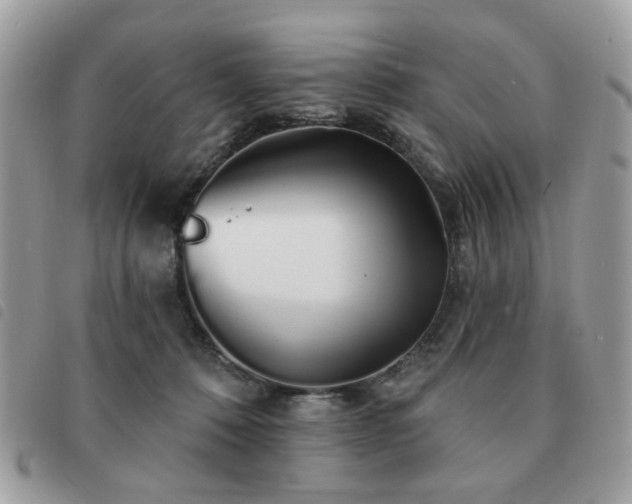 X0000091530320200708171226