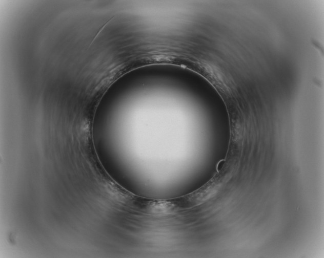 X0000091530321200708171226