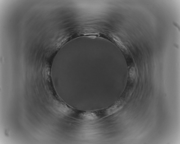 X0000091530322200708171226