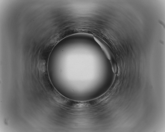 X0000091530323200708171226