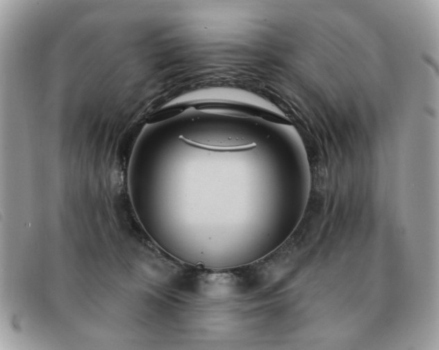 X0000091530324200708171226