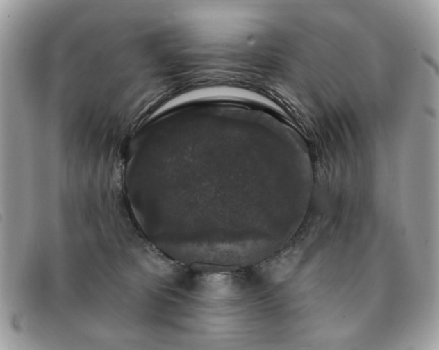 X0000091530325200708171226