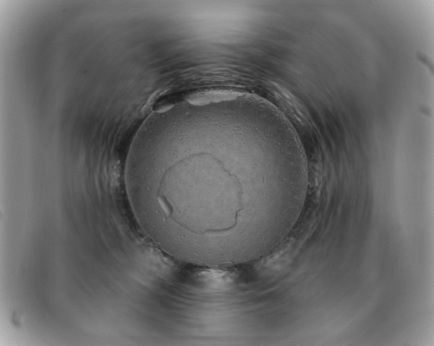 X0000091530326200708171226