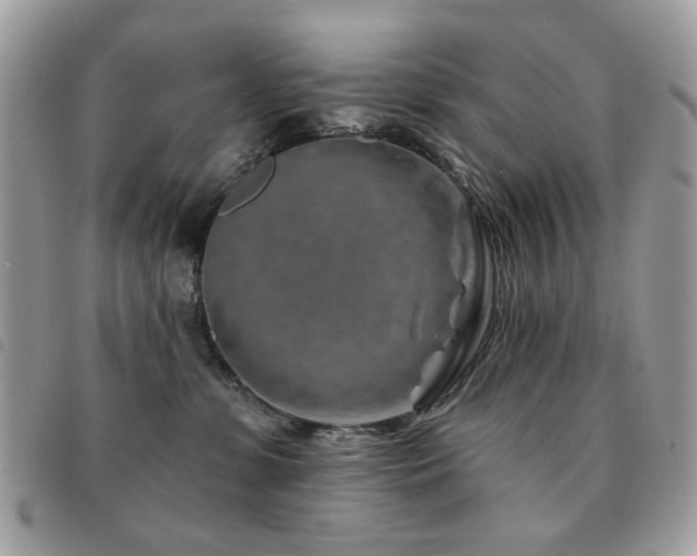 X0000091530331200708171226