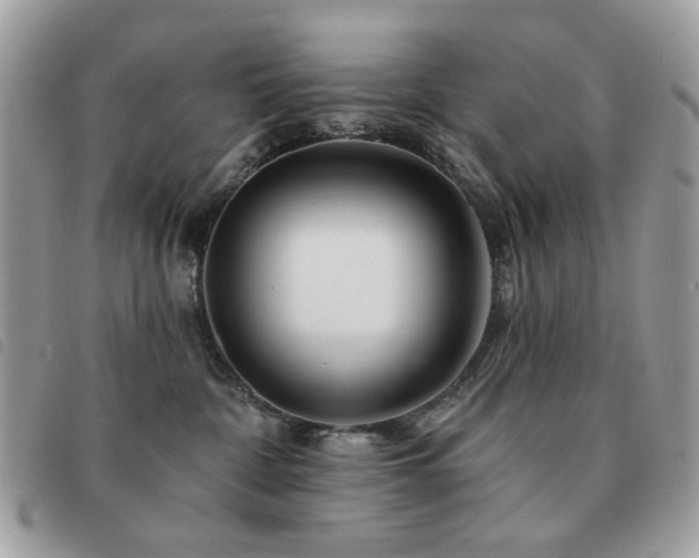 X0000091530332200708171226