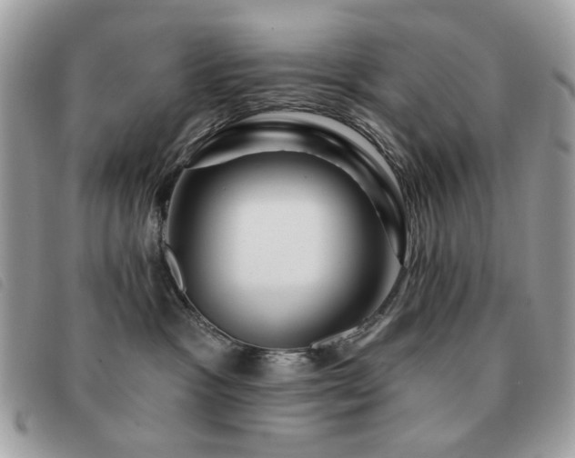 X0000091530333200708171226