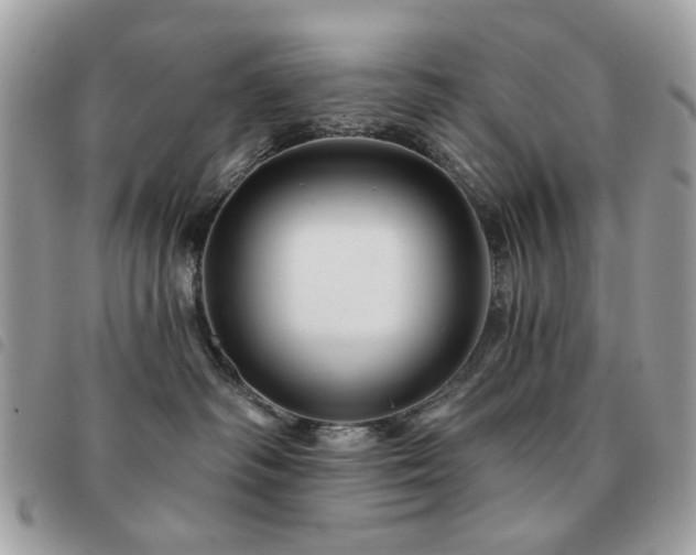 X0000091530334200708171226