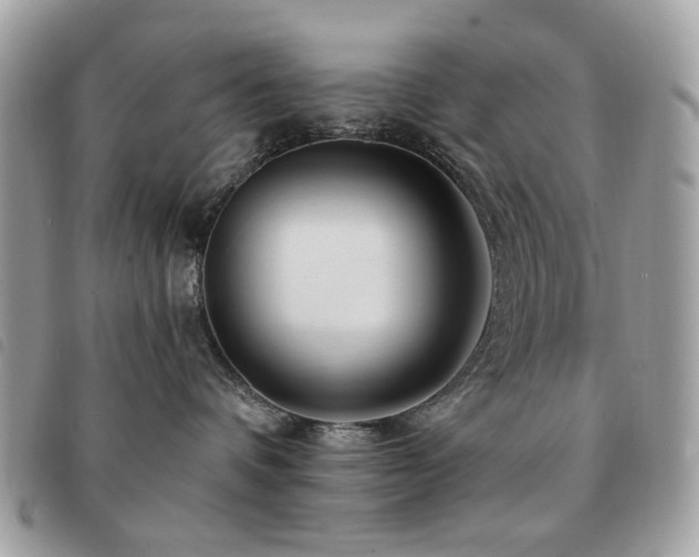 X0000091530336200708171226