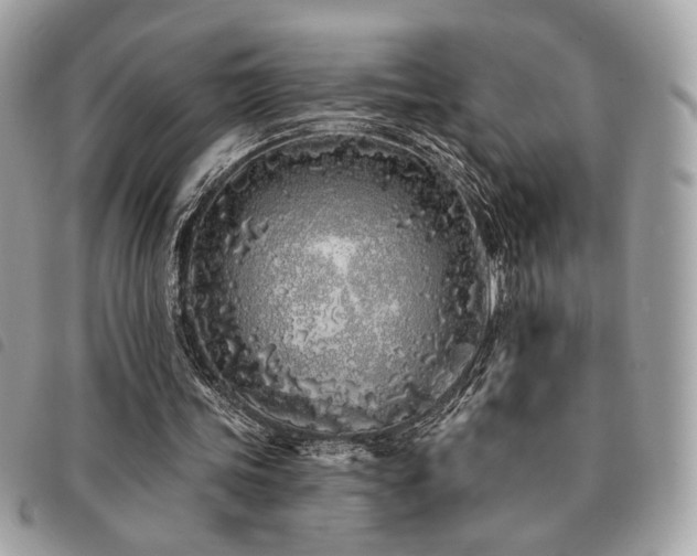 X0000091530339200708171225