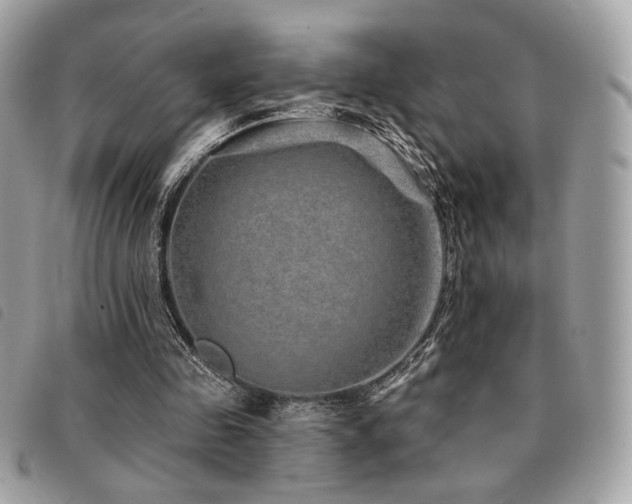 X0000091530341200708171226