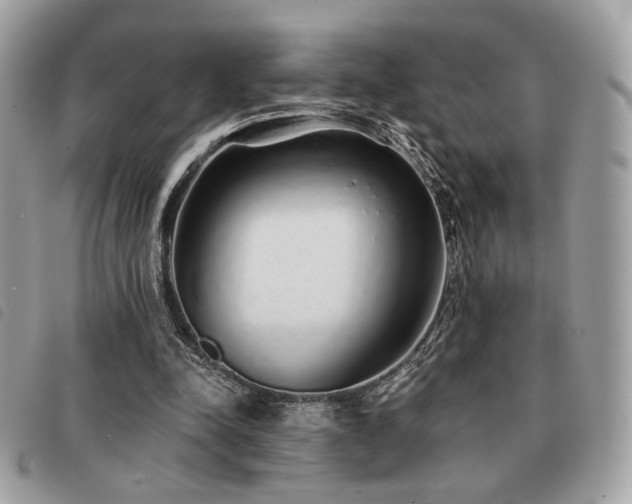 X0000091530342200708171226
