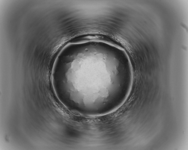 X0000091530345200708171226