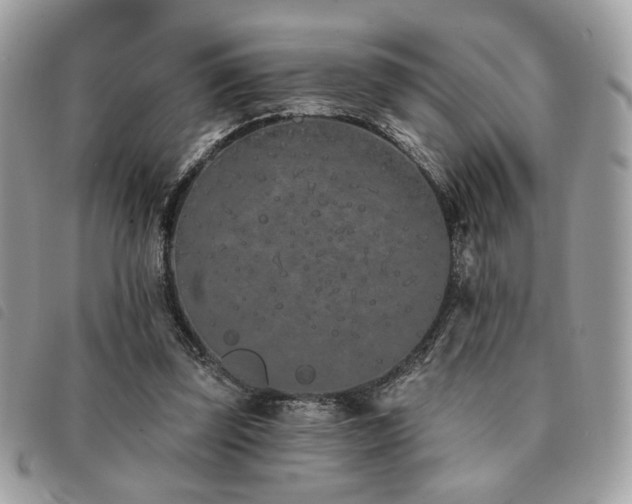 X0000091530347200708171226