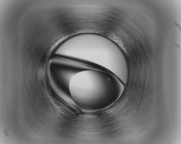 X0000091530348200708171226