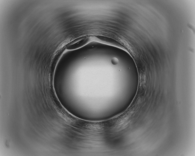 X0000091530349200708171226