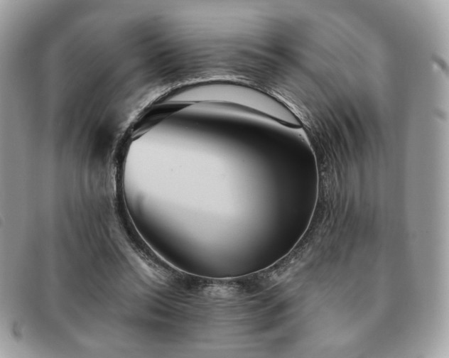 X0000091530350200708171226