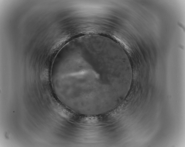 X0000091530353200708171226
