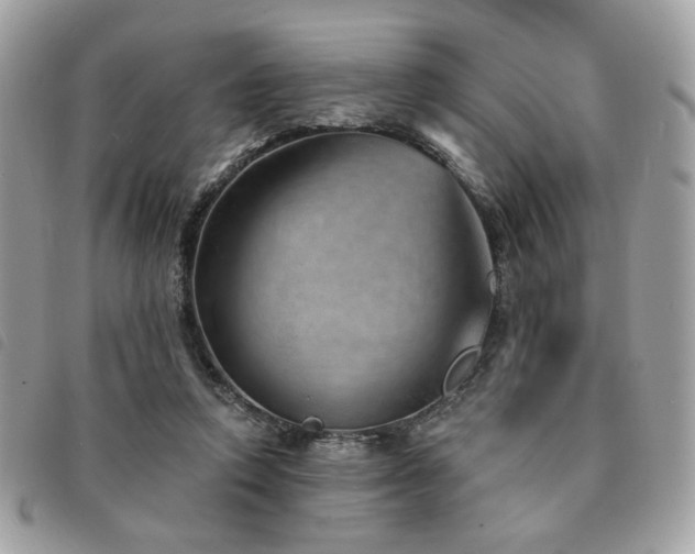 X0000091530354200708171226