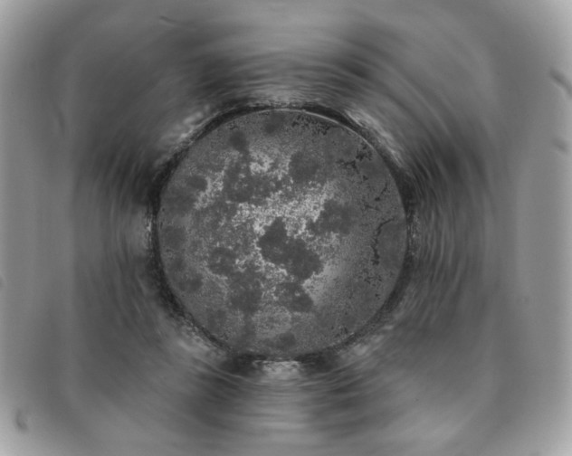 X0000091530355200708171226